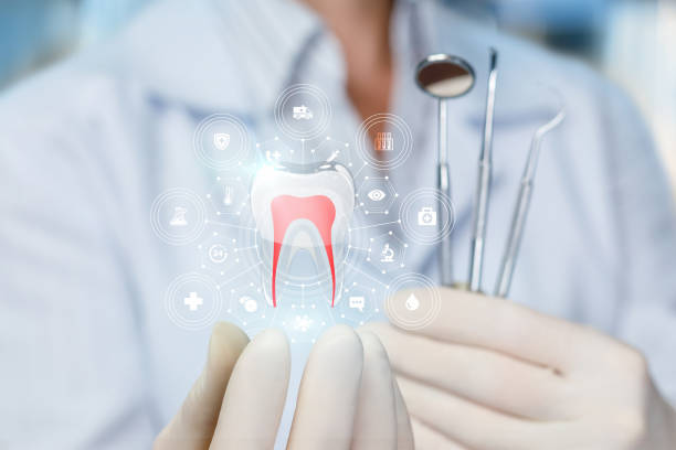 Trusted Fairview, UT  Holistic Dental Services Experts